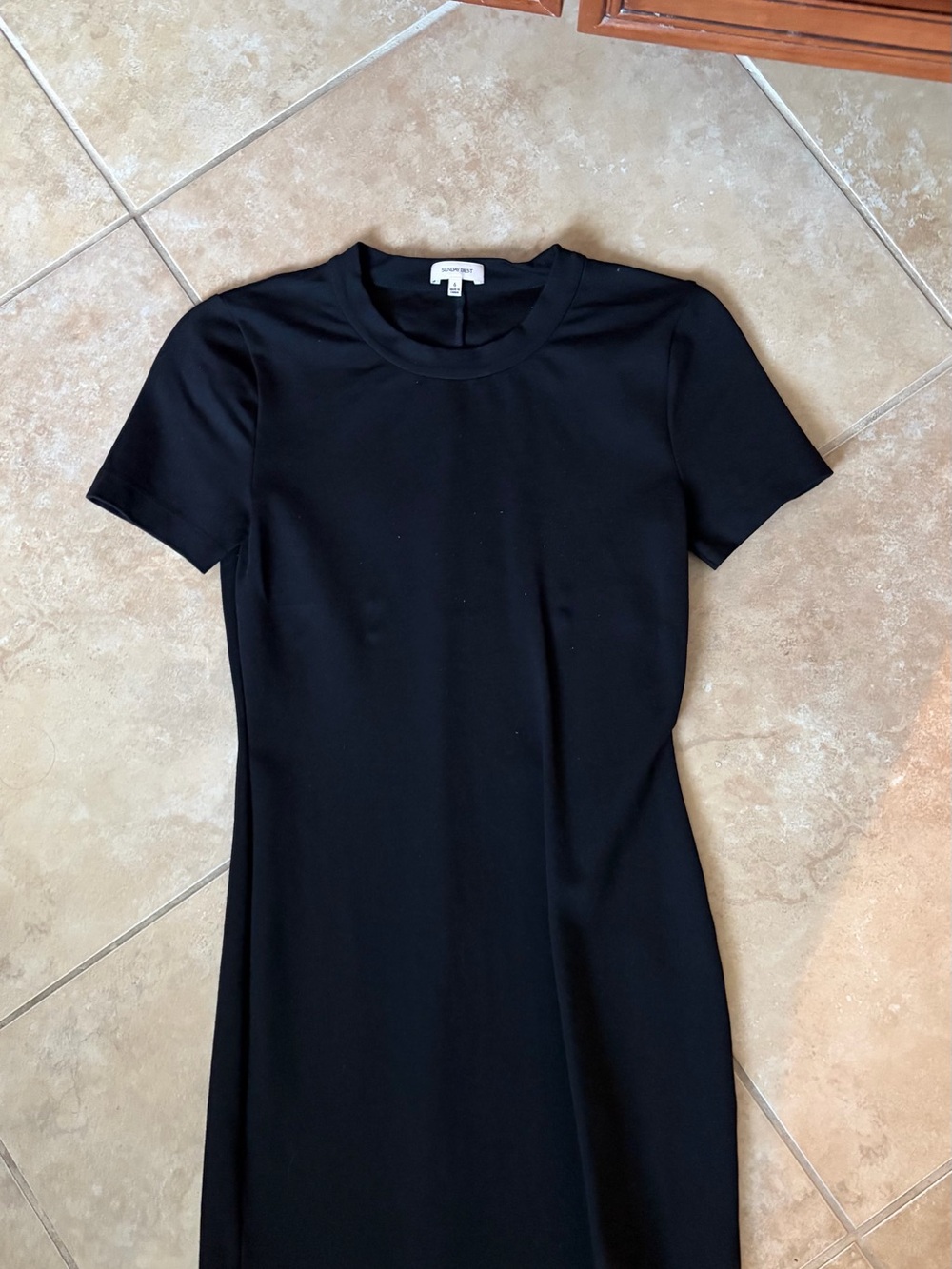 Aritzia Black Short Sleeve Crewneck Mini Dress